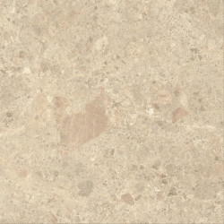 Nyra Ambrosia 120x120 Matte HCQ3 Atlas Concorde
