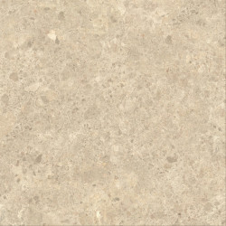 Nyra Ambrosia 120x120 Matte HCQ3 Atlas Concorde