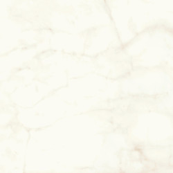 Marvel Calacatta Delicato 120x120 Lapp. A4Q8 Atlas Concorde