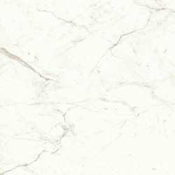 Marvel Calacatta Prestigio 120x120 Lapp. A4Q9 Atlas Concorde