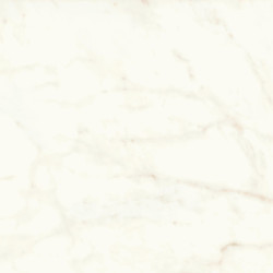 Marvel Calacatta Delicato 120x120 Matt A4Q4 Atlas Concorde