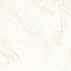 Marvel Calacatta Delicato 120x120 Matt A4Q4 Atlas Concorde