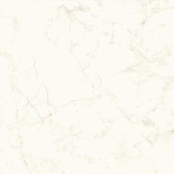 Marvel Calacatta Delicato 120x120 Matt A4Q4 Atlas Concorde