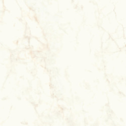 Marvel Calacatta Delicato 120x120 Matt A4Q4 Atlas Concorde