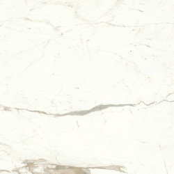 Marvel Calacatta Prestigio 120x120 Matt A4Q5 Atlas Concorde