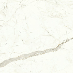 Marvel Calacatta Prestigio 120x120 Matt A4Q5 Atlas Concorde