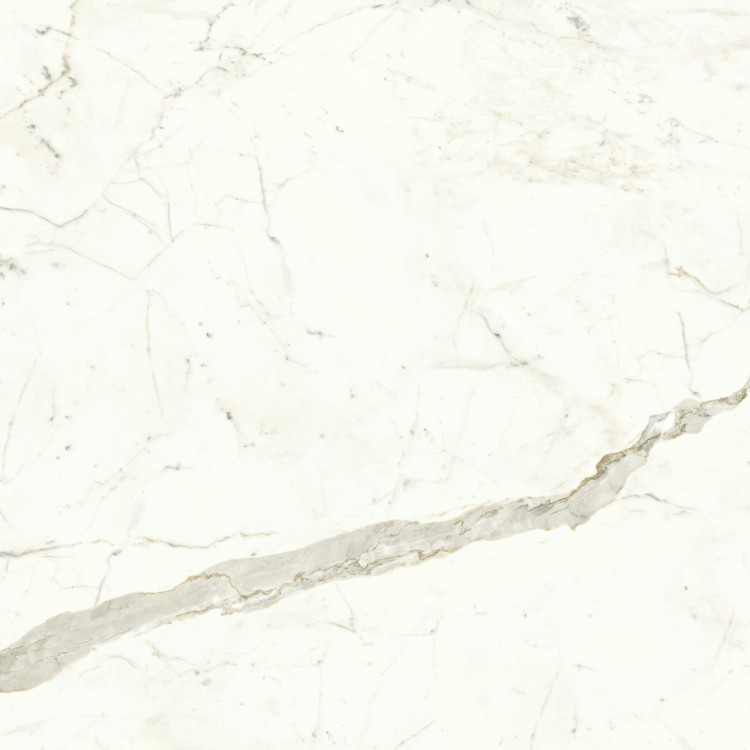 Marvel Calacatta Prestigio 120x120 Matt A4Q5 Atlas Concorde