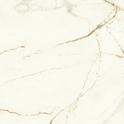 Marvel Calacatta Imperiale 120x120 Matt A4Q7 Atlas Concorde