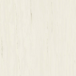Marvel Bianco Dolomite 120x120 Lapp. AZTT Atlas Concorde