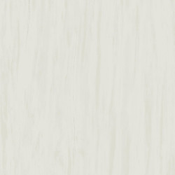 Marvel Bianco Dolomite 120x120 Lapp. AZTT Atlas Concorde
