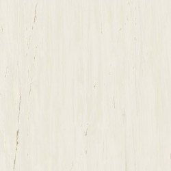 Marvel Bianco Dolomite 120x120 Lapp. AZTT Atlas Concorde
