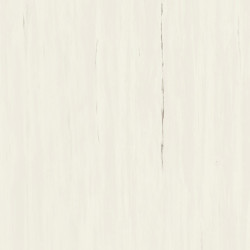 Marvel Bianco Dolomite 120x120 A204 Atlas Concorde