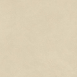 Boost Natural Pro Oat 120x120 Velvet AQ8L Atlas Concorde