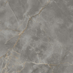 Marvel X Fior di Bosco 120x120 Lappato AFVA Atlas Concorde