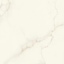 Marvel X Calacatta Apuano120x120 Lappato AFU7 Atlas Concorde
