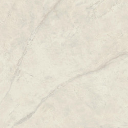 Marvel X Calacatta Perla 120x120 Silk AFVL Atlas Concorde