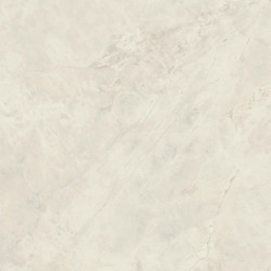Marvel X Calacatta Perla 120x120 Silk AFVL Atlas Concorde