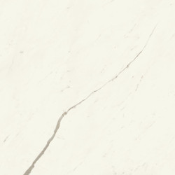 Marvel X Calacatta Sublime 120x120 Silk AFVK Atlas Concorde