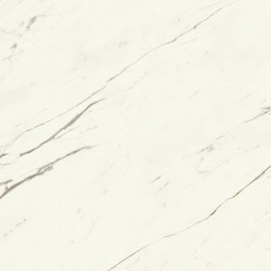 Marvel X Calacatta Sublime 120x120 Silk AFVK Atlas Concorde