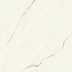 Marvel X Calacatta Sublime 120x120 Silk AFVK Atlas Concorde