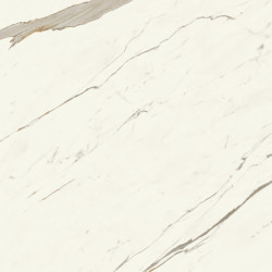 Marvel X Calacatta Sublime 120x120 Silk AFVK Atlas Concorde