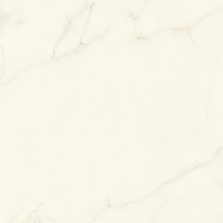 Marvel X Calacatta Apuano120x120 Silk AFVJ Atlas Concorde