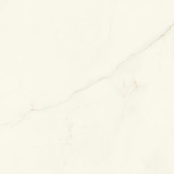 Marvel X Calacatta Apuano120x120 Silk AFVJ Atlas Concorde