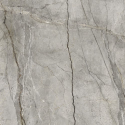 Silver Root Grey R10 120x120 MPFK Marazzi