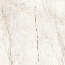 Silver Root White R10 120x120 MPFL Marazzi