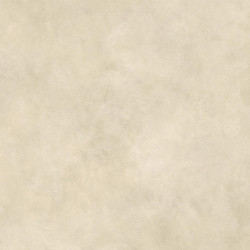 Boost Expression Camel 120x120 AYT9 Atlas Concorde